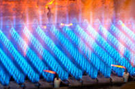 Periton gas fired boilers
